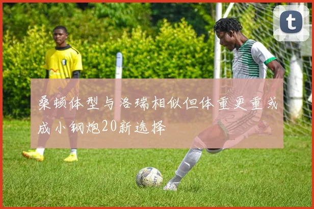 桑顿体型与洛瑞相似但体重更重或成小钢炮20新选择
