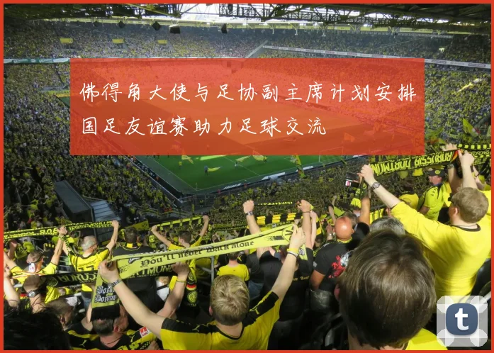 佛得角大使与足协副主席计划安排国足友谊赛助力足球交流