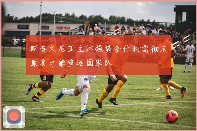 斯洛文尼亚主帅强调舍什科需彻底康复才能重返国家队